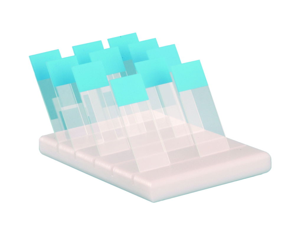 Objektträger-Halter, PE