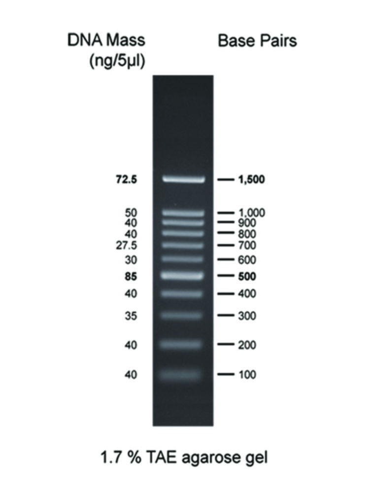 ДНК-маркери для гель-електрофорезу, 11, CSL-MDNA-100BP