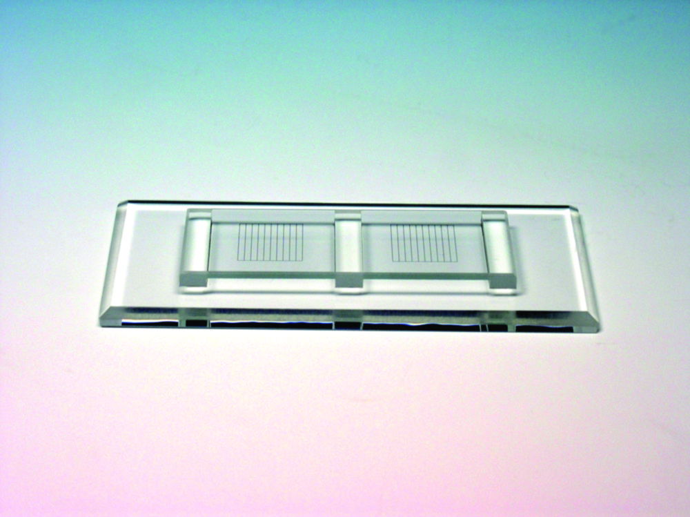 Zählkammern nach McMaster