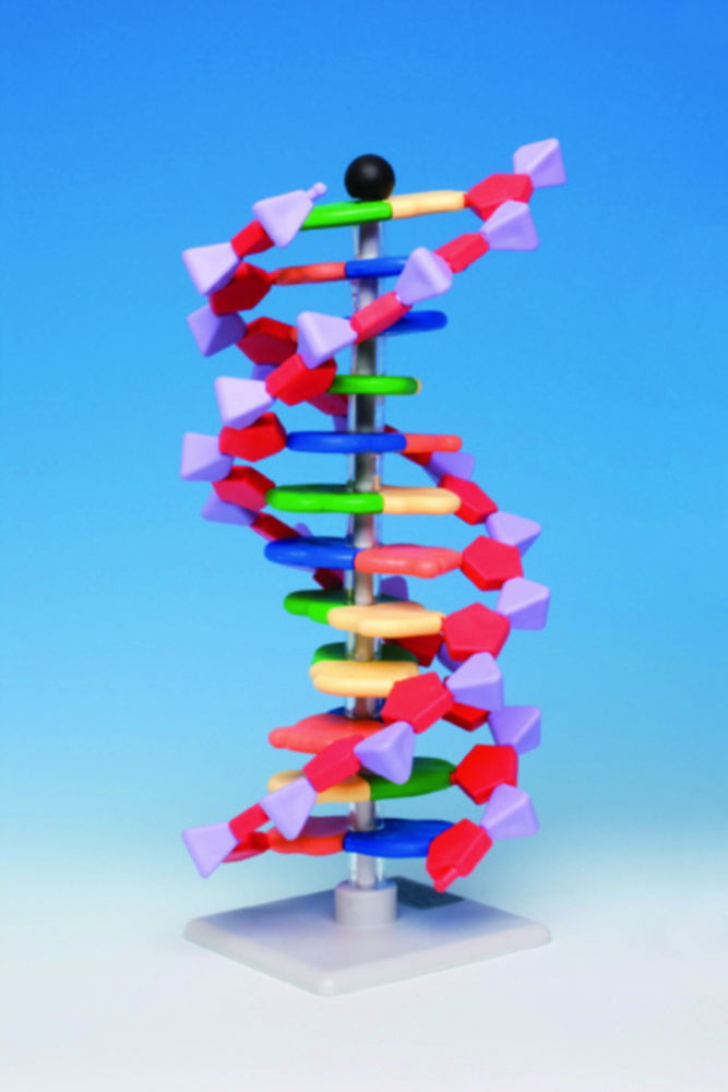 Система молекулярного моделювання miniDNA®, RNA Kit, набір з 24 основ