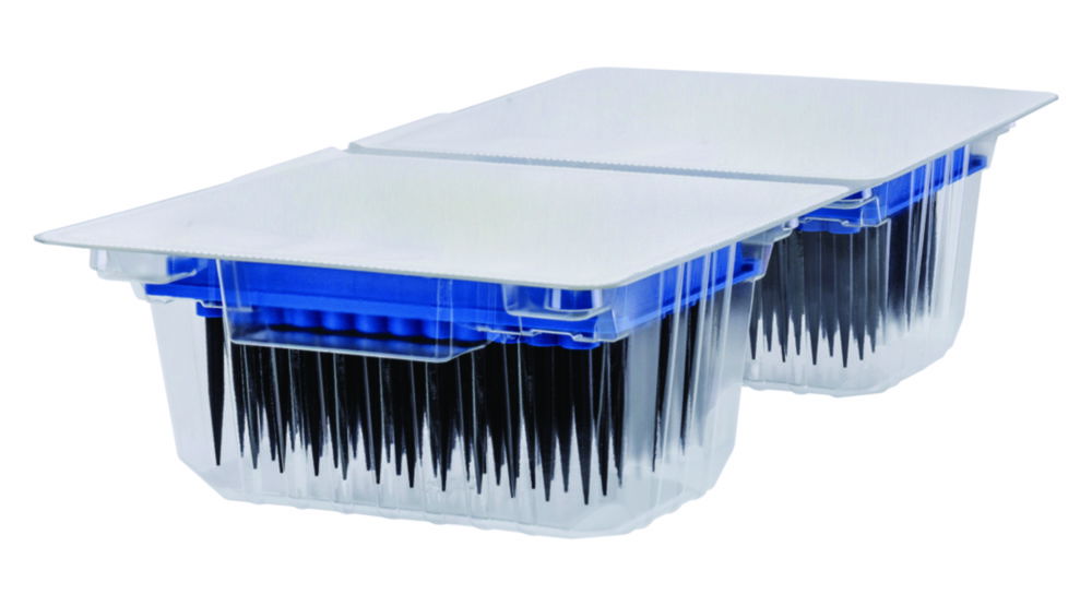 Robotikspitzen blackKnights