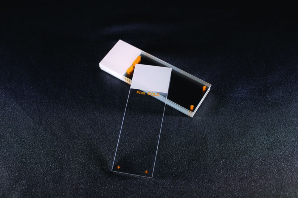 Adhäsionsobjektträger SuperFrost® Plus Gold