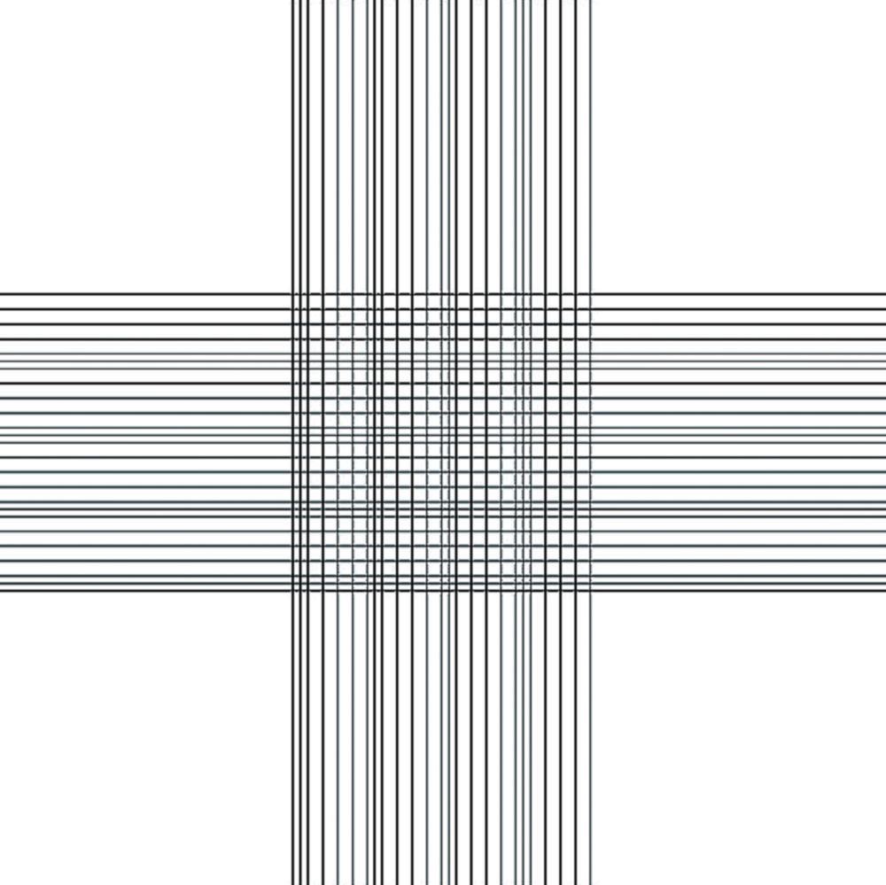 Zählkammer nach Thoma