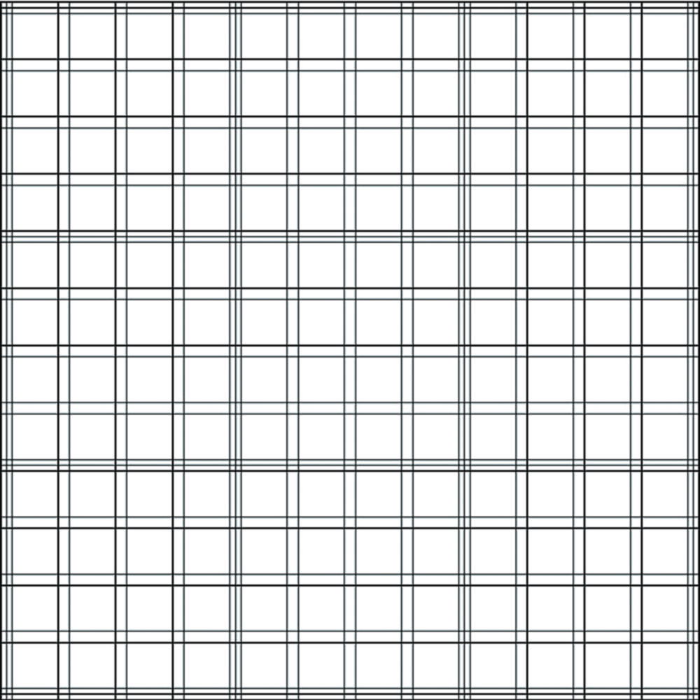 Zählkammer nach Bürker