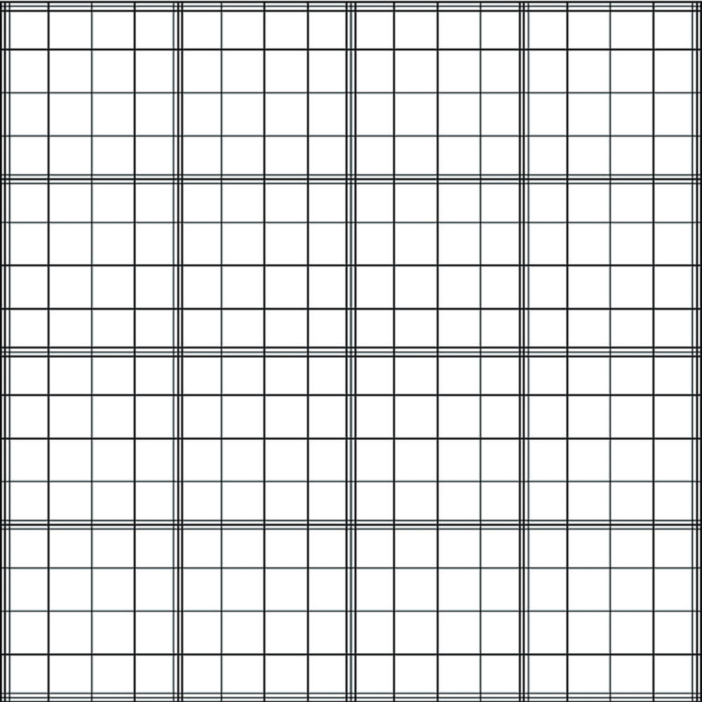 Counting Chamber, Fuchs-Rosenthal