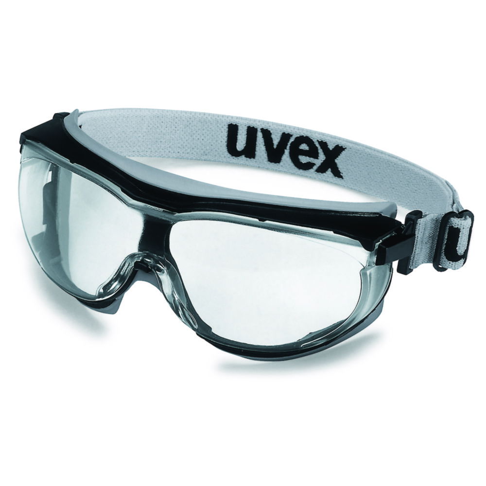 Панорамные очки uvex carbonvision 9307