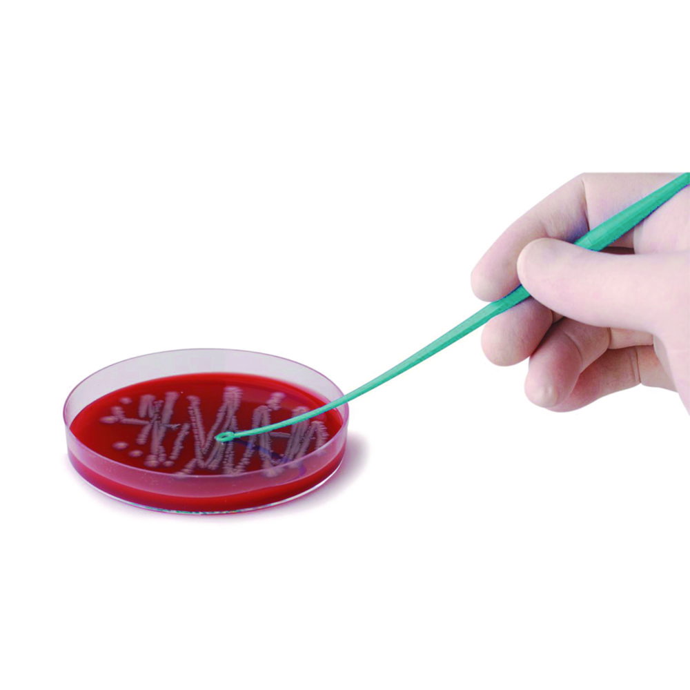 Anses d'inoculation - LLG, en PS, stériles, doubles, œillet/œillet