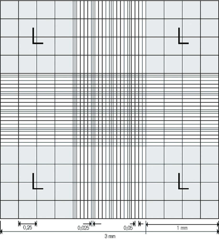 Zählkammer nach Neubauer
