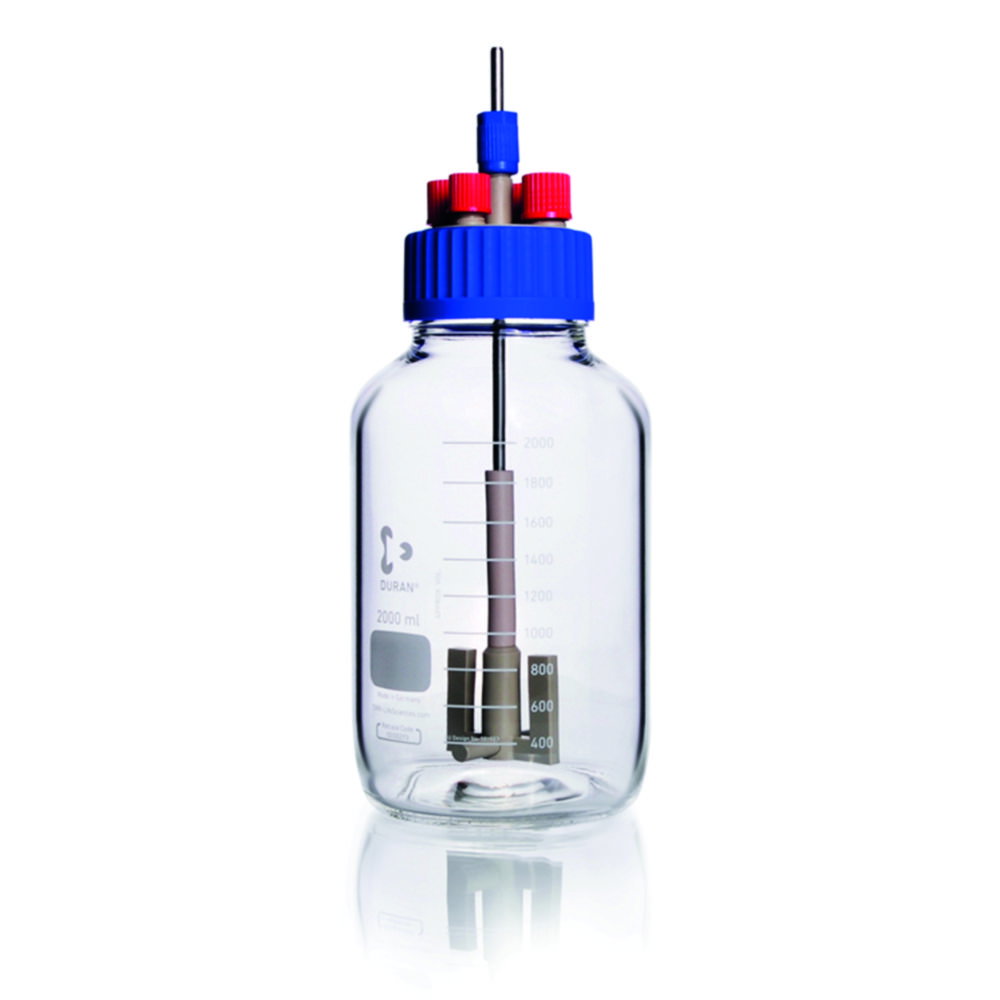 GLS 80® Stirred Reactor