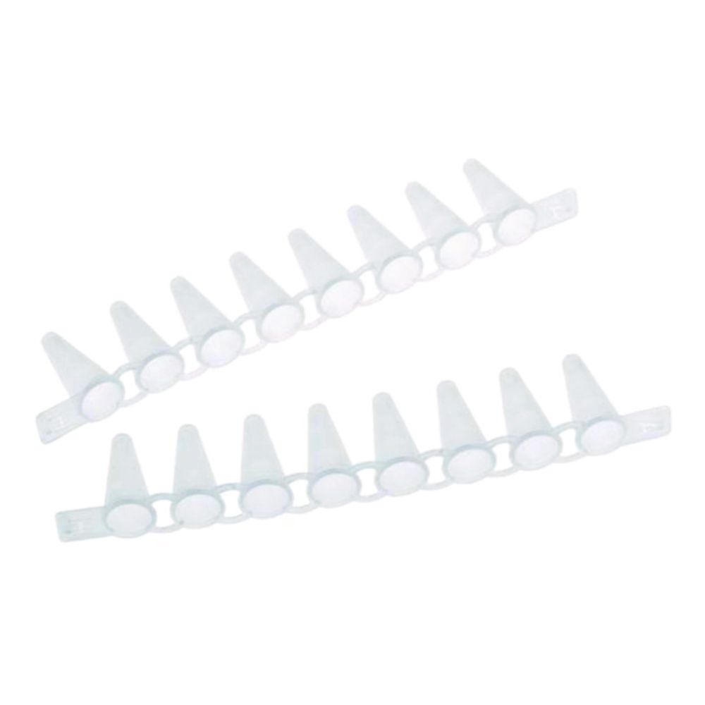Barrette de 8 tubes PCR