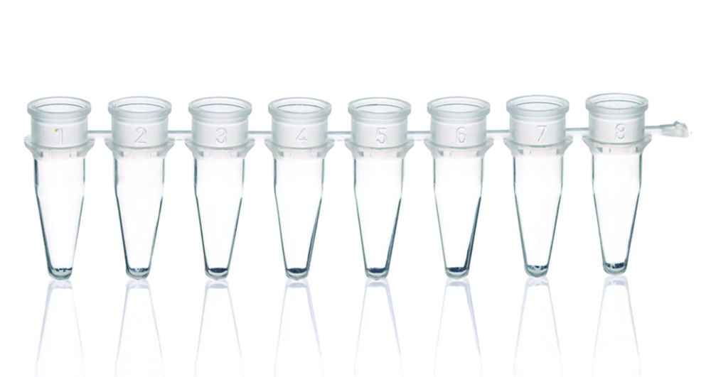 PCR-Gefäße 8er-Strips, PP, ohne Deckel