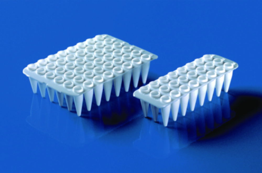 24-/48-well PCR-Platten, ohne Rahmen, PP