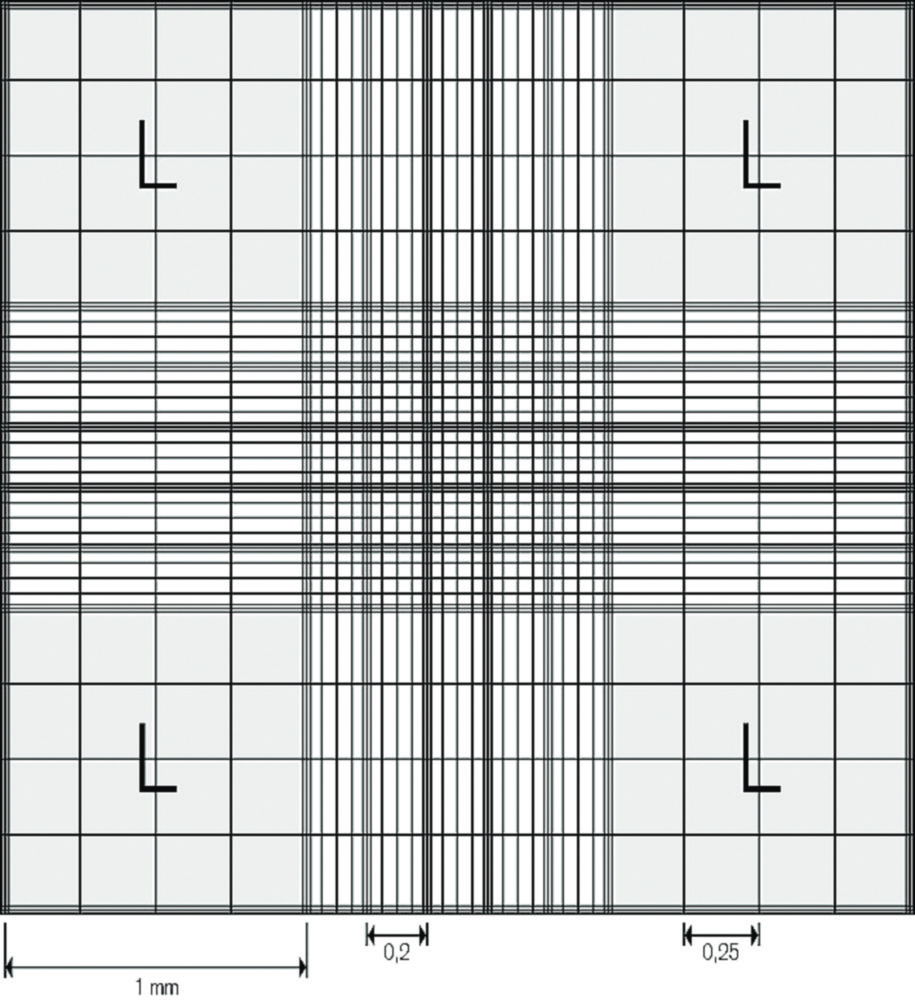 Zählkammer nach Neubauer improved