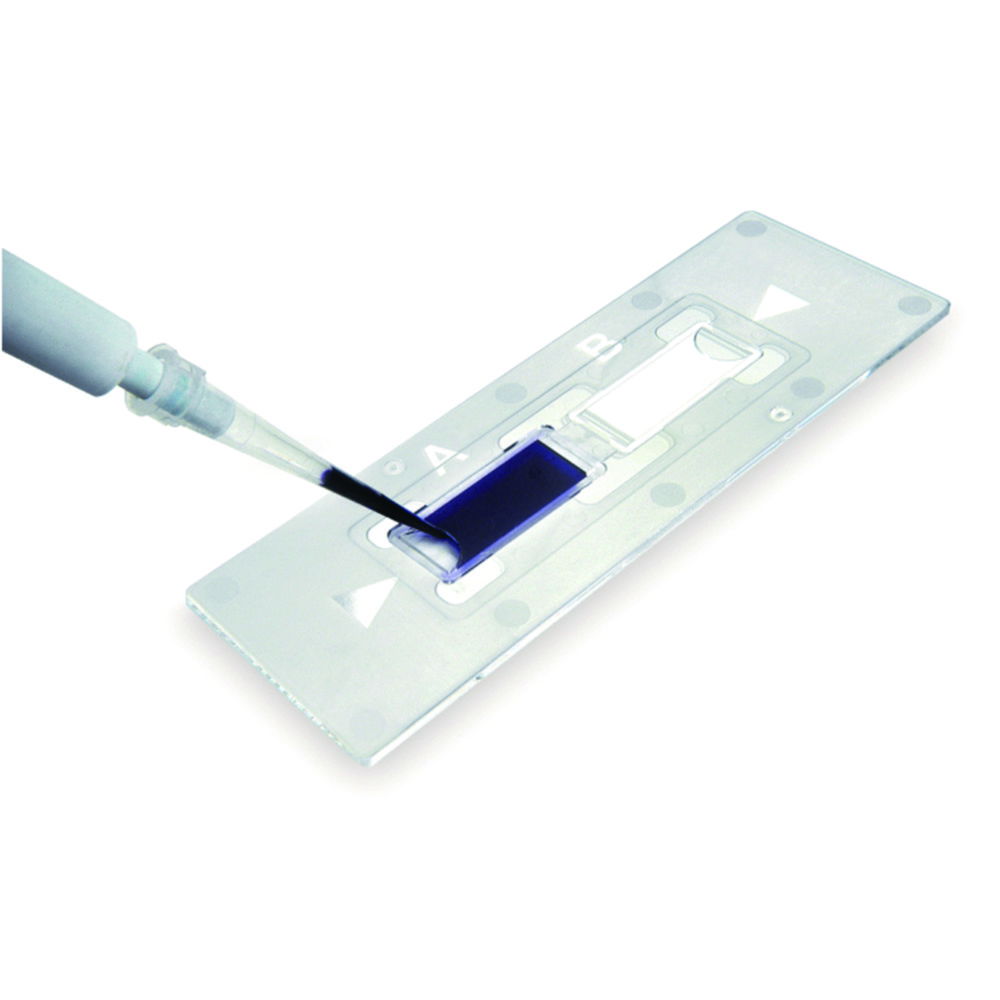 Zählkammern C-Chip, zwei Kammern