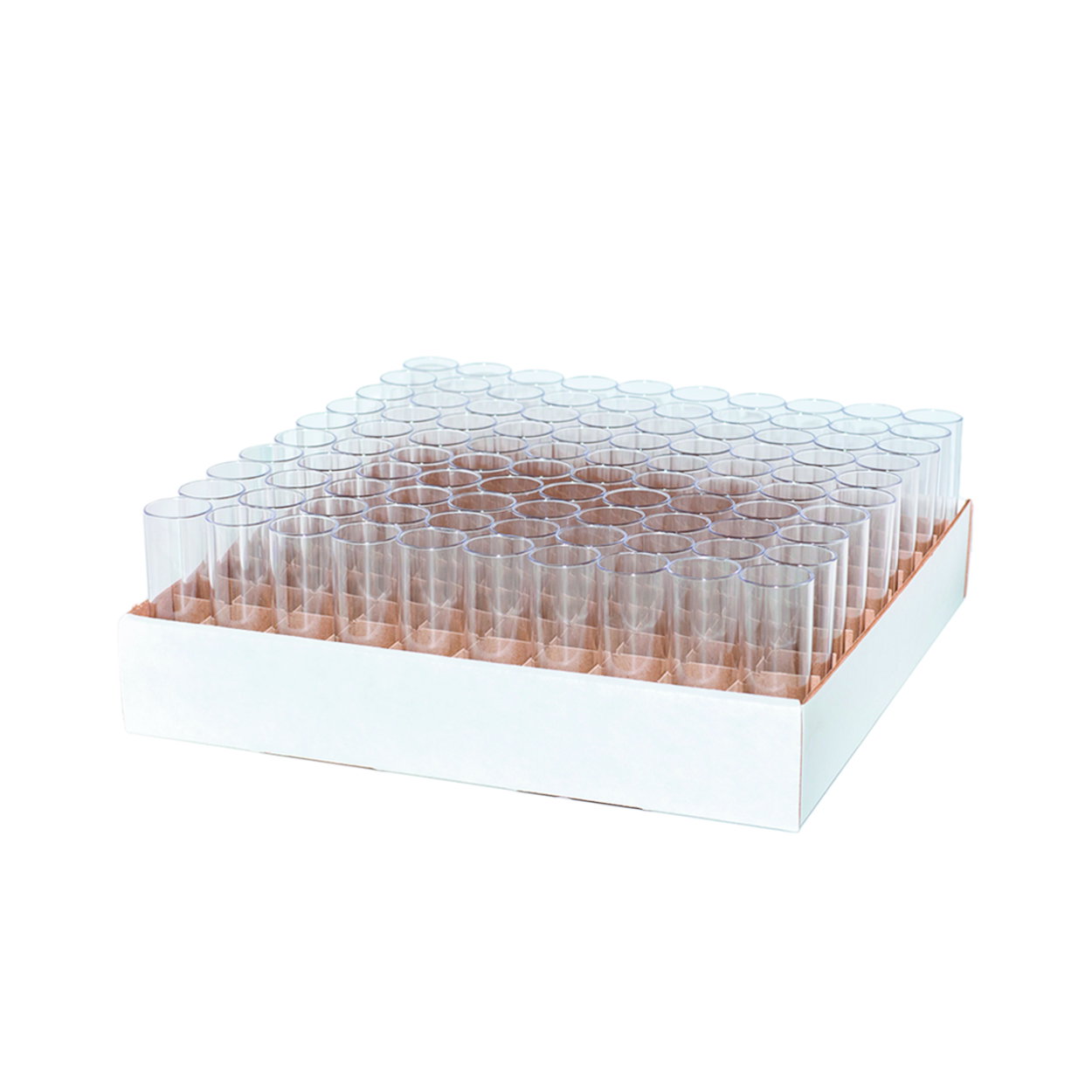 Drosophila tubes, PS